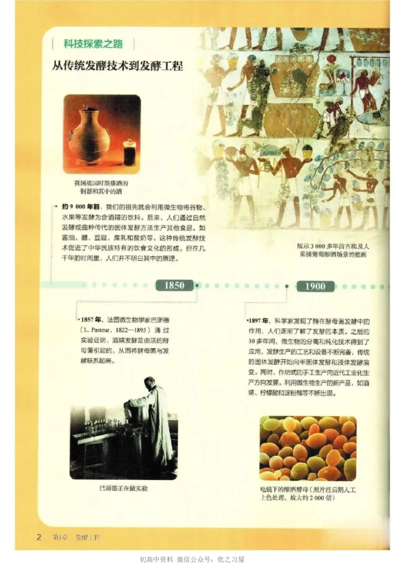 5新教材高中生物选择性必修3《生物技术与工程》_高中三年全科资料_高中各科课本电子教材_06高中生物课本_人教版-生物课本