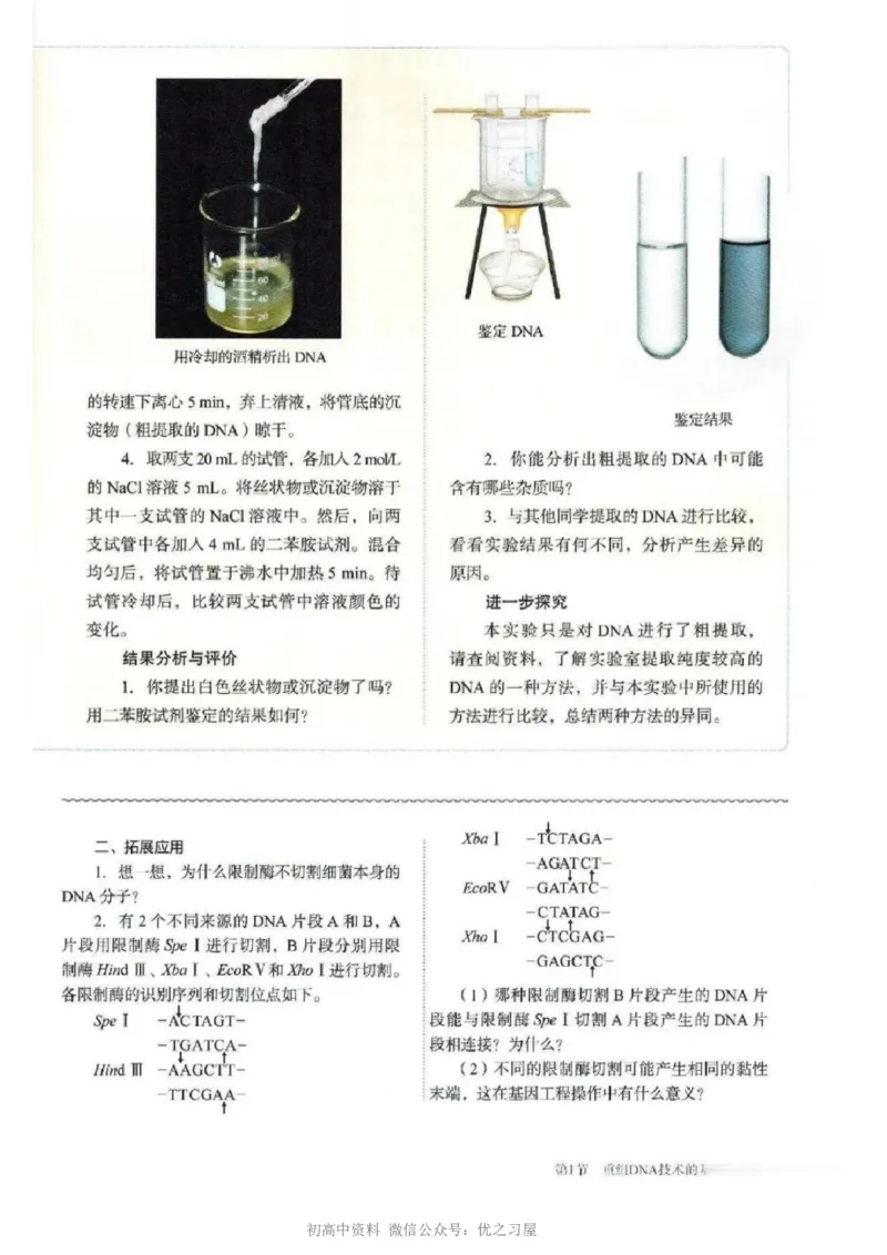 5新教材高中生物选择性必修3《生物技术与工程》_高中三年全科资料_高中各科课本电子教材_06高中生物课本_人教版-生物课本