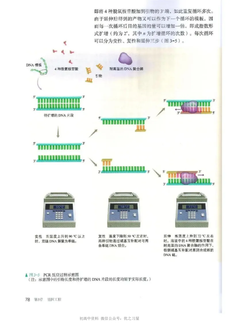 5新教材高中生物选择性必修3《生物技术与工程》_高中三年全科资料_高中各科课本电子教材_06高中生物课本_人教版-生物课本
