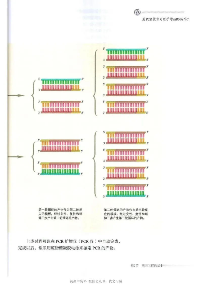 5新教材高中生物选择性必修3《生物技术与工程》_高中三年全科资料_高中各科课本电子教材_06高中生物课本_人教版-生物课本
