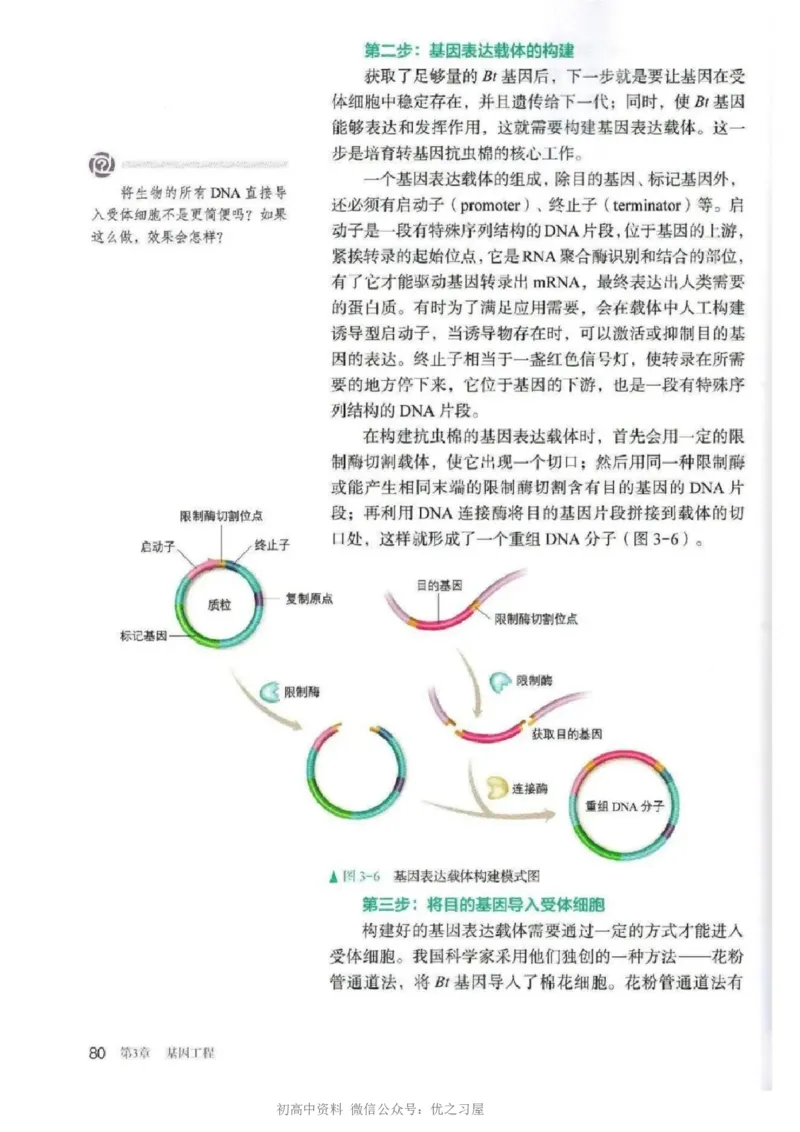 5新教材高中生物选择性必修3《生物技术与工程》_高中三年全科资料_高中各科课本电子教材_06高中生物课本_人教版-生物课本
