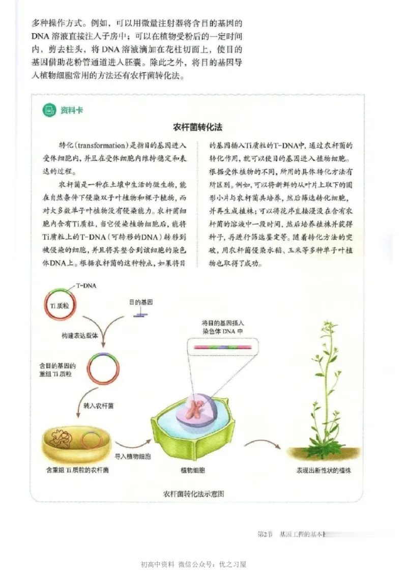 5新教材高中生物选择性必修3《生物技术与工程》_高中三年全科资料_高中各科课本电子教材_06高中生物课本_人教版-生物课本