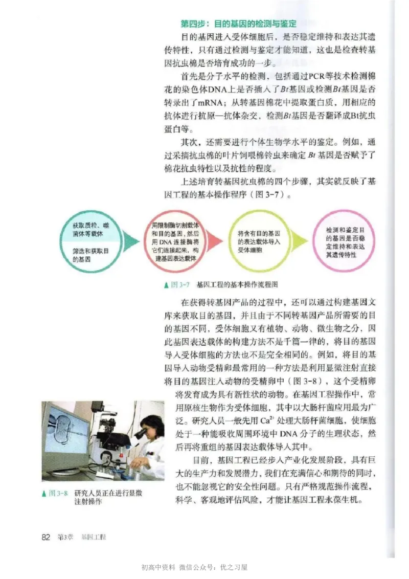 5新教材高中生物选择性必修3《生物技术与工程》_高中三年全科资料_高中各科课本电子教材_06高中生物课本_人教版-生物课本