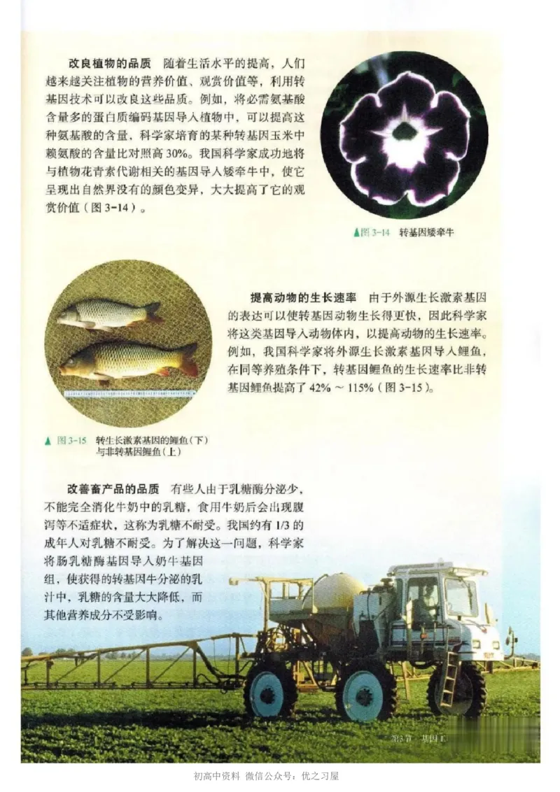 5新教材高中生物选择性必修3《生物技术与工程》_高中三年全科资料_高中各科课本电子教材_06高中生物课本_人教版-生物课本