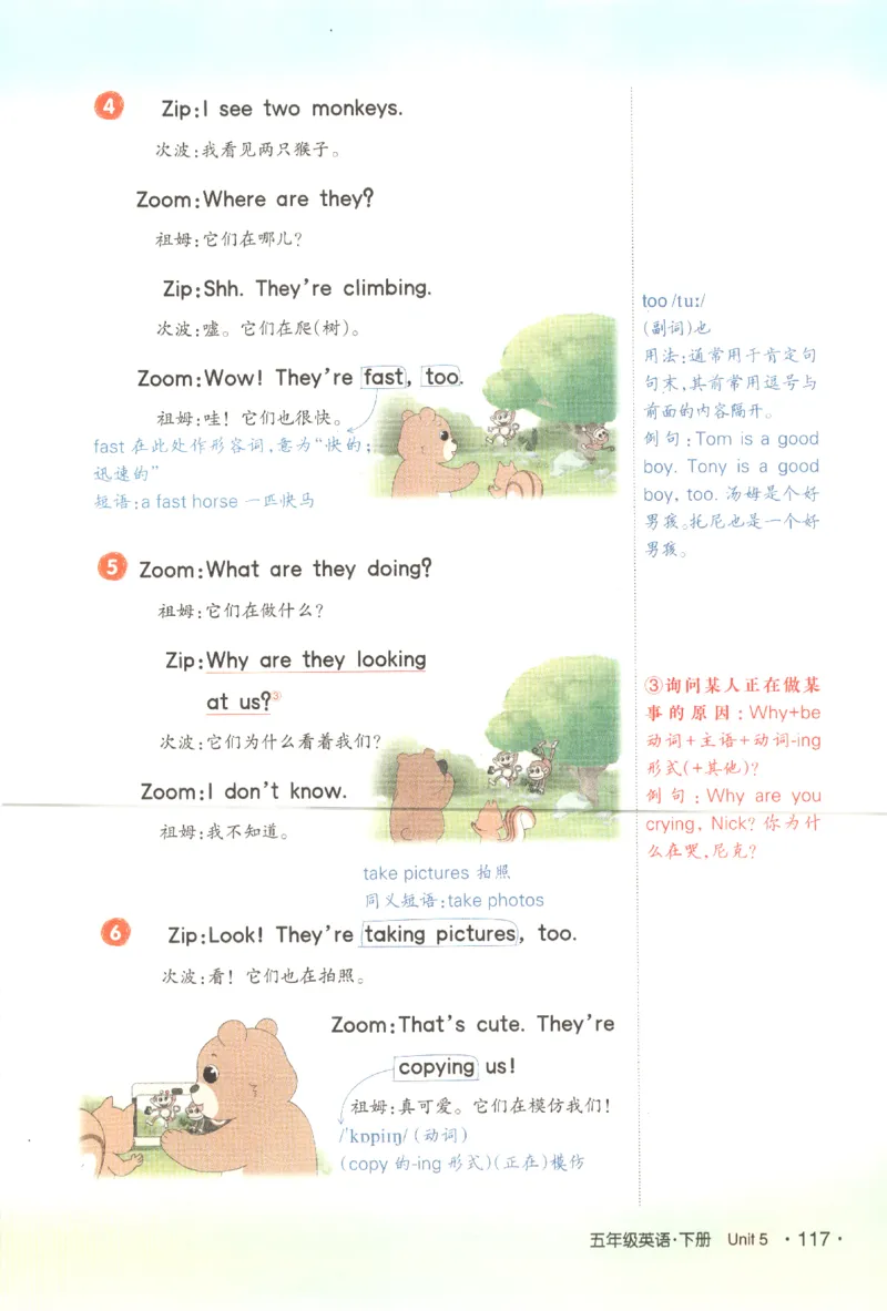 25春《状元英语笔记》人教英语PEP5下（含晨读晚默）_小学《课堂笔记》数学语文英语1-6年级下册_小学英语《课堂笔记》1-6年级下册（26春）_小学英语《课堂笔记》3-6年级下册（26春）