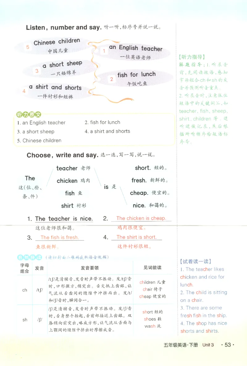 25春《状元英语笔记》人教英语PEP5下（含晨读晚默）_小学《课堂笔记》数学语文英语1-6年级下册_小学英语《课堂笔记》1-6年级下册（26春）_小学英语《课堂笔记》3-6年级下册（26春）
