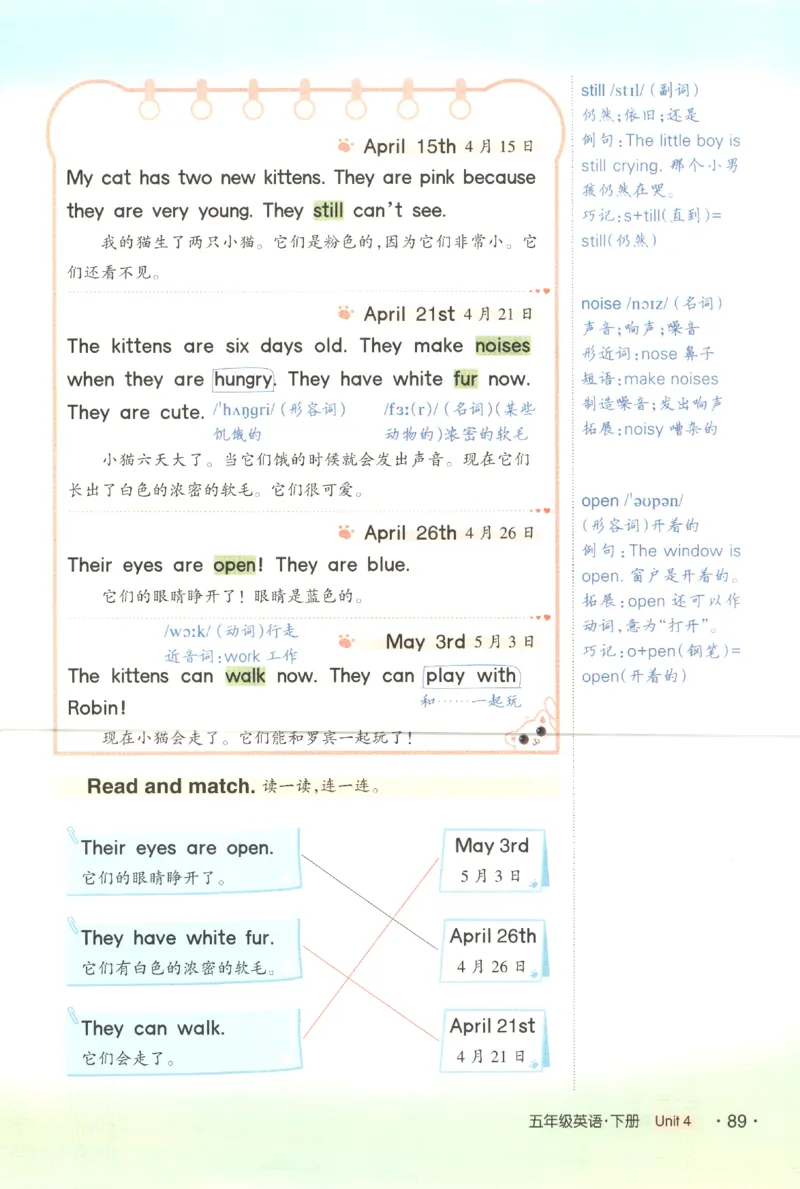 25春《状元英语笔记》人教英语PEP5下（含晨读晚默）_小学《课堂笔记》数学语文英语1-6年级下册_小学英语《课堂笔记》1-6年级下册（26春）_小学英语《课堂笔记》3-6年级下册（26春）