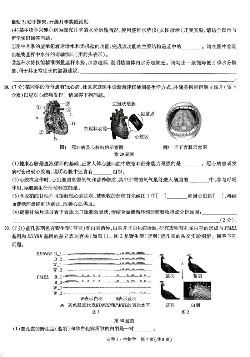 2026《万唯中考&bull;云南生地黑白卷》生物白卷_中考押题2026《中考押题》系列（9科全套实时更新中）_万唯2026版初中《万唯黑白卷》地生（云南）