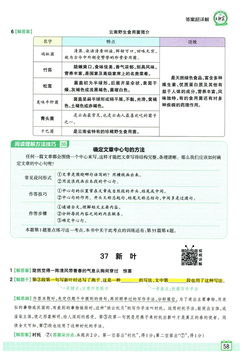 25版一本周末小测卷英语3下_周末预测小卷_2026《一本&bull;周末小测卷》英语人教_赠送：25春英语人教pep《周末小测卷》_三年级英语下册人教PEP版25春《周末小测卷》