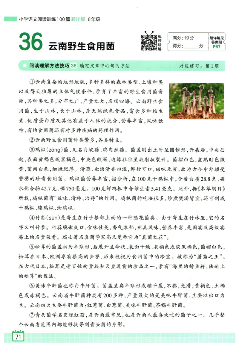 25版一本周末小测卷英语3下_周末预测小卷_2026《一本&bull;周末小测卷》英语人教_赠送：25春英语人教pep《周末小测卷》_三年级英语下册人教PEP版25春《周末小测卷》