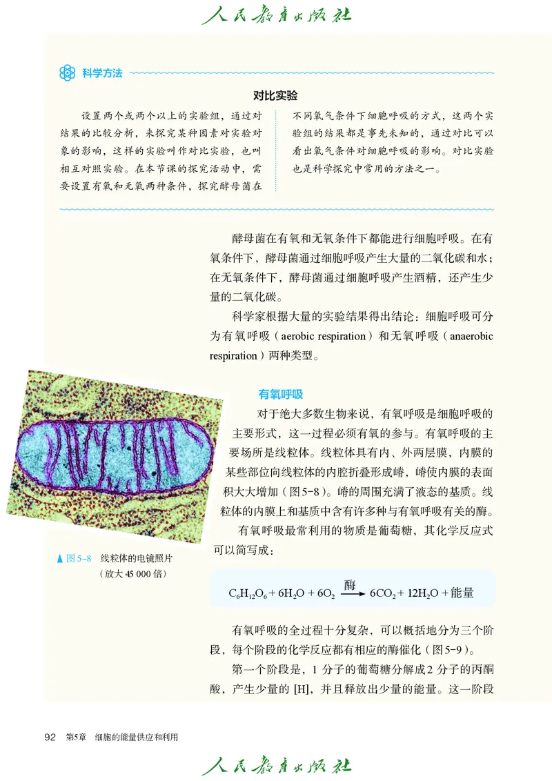 人教版高中必修1分子与细胞生物电子课本_高中三年全科资料_高中_高中电子教材_高中生物学_人教版