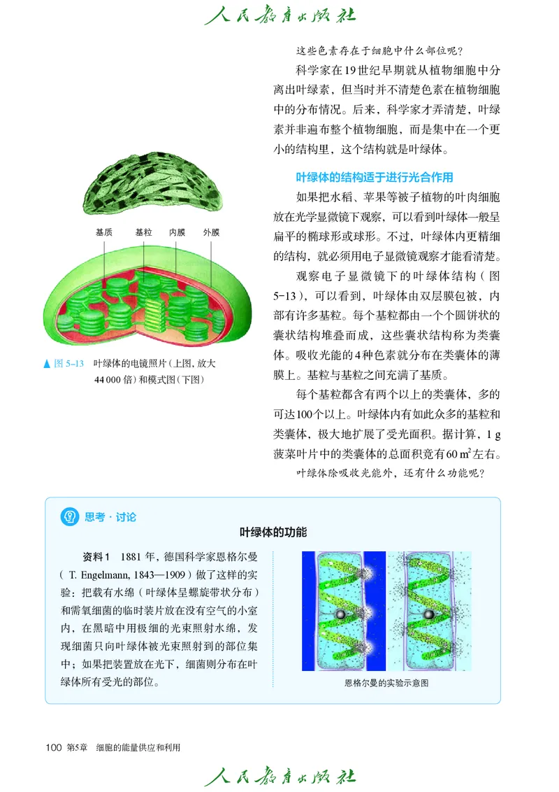 人教版高中必修1分子与细胞生物电子课本_高中三年全科资料_高中_高中电子教材_高中生物学_人教版