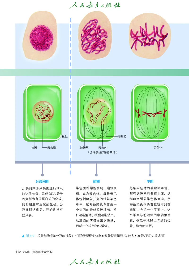 人教版高中必修1分子与细胞生物电子课本_高中三年全科资料_高中_高中电子教材_高中生物学_人教版
