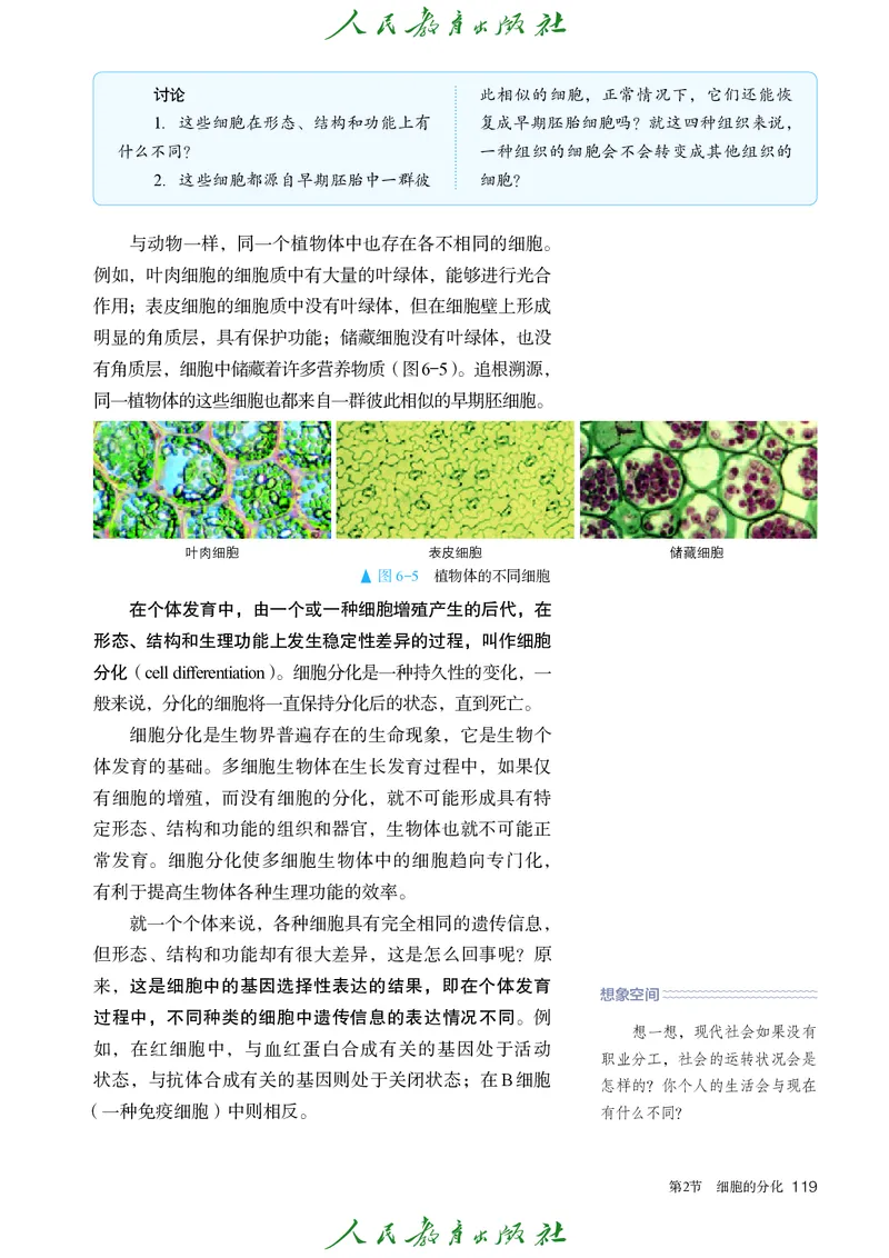 人教版高中必修1分子与细胞生物电子课本_高中三年全科资料_高中_高中电子教材_高中生物学_人教版