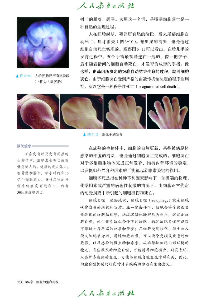 人教版高中必修1分子与细胞生物电子课本_高中三年全科资料_高中_高中电子教材_高中生物学_人教版