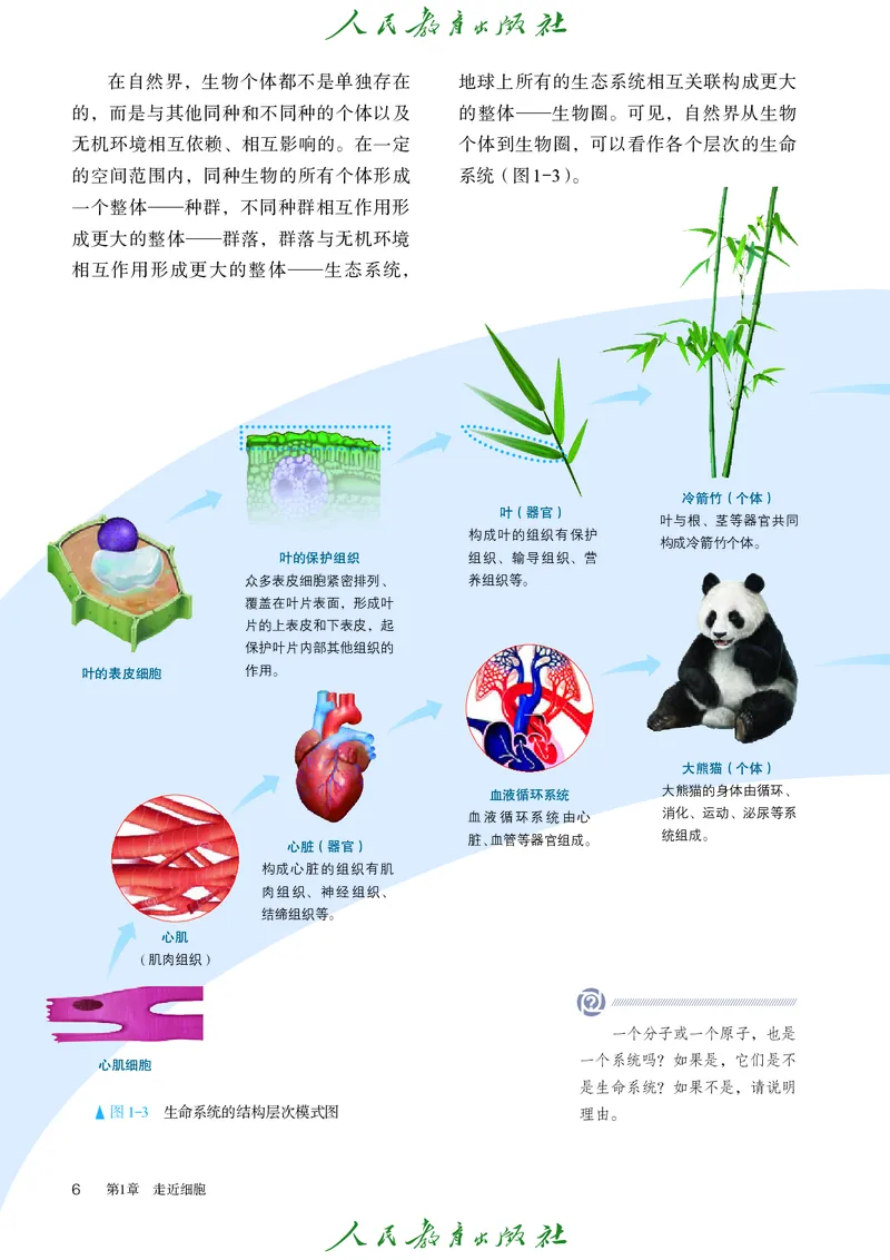 人教版高中必修1分子与细胞生物电子课本_高中三年全科资料_高中_高中电子教材_高中生物学_人教版
