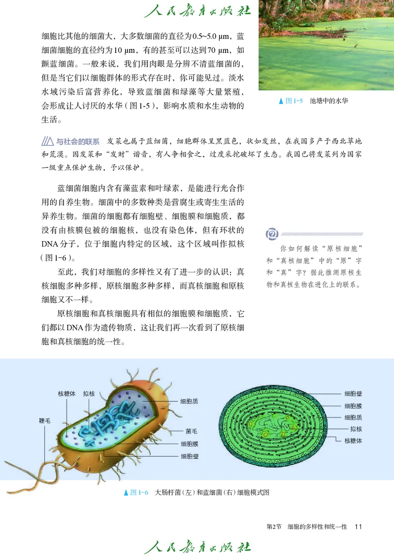 人教版高中必修1分子与细胞生物电子课本_高中三年全科资料_高中_高中电子教材_高中生物学_人教版