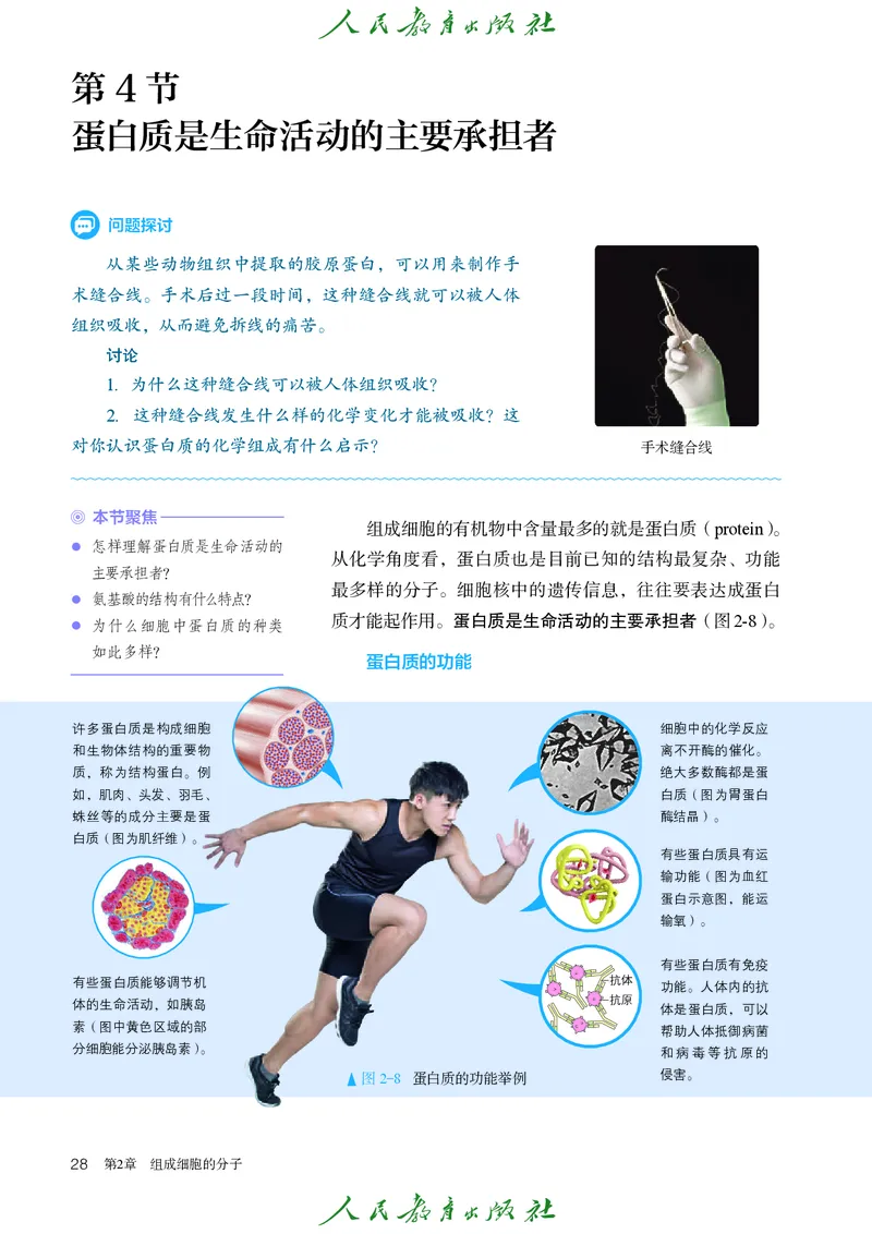 人教版高中必修1分子与细胞生物电子课本_高中三年全科资料_高中_高中电子教材_高中生物学_人教版