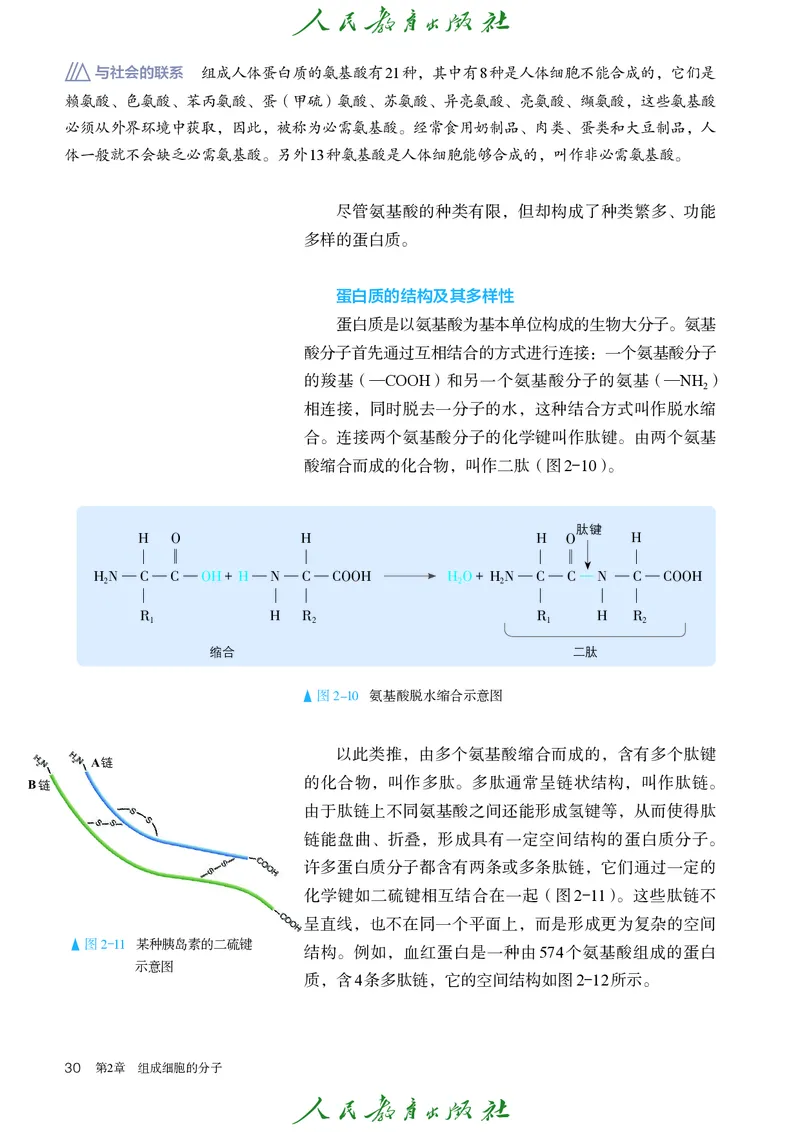 人教版高中必修1分子与细胞生物电子课本_高中三年全科资料_高中_高中电子教材_高中生物学_人教版