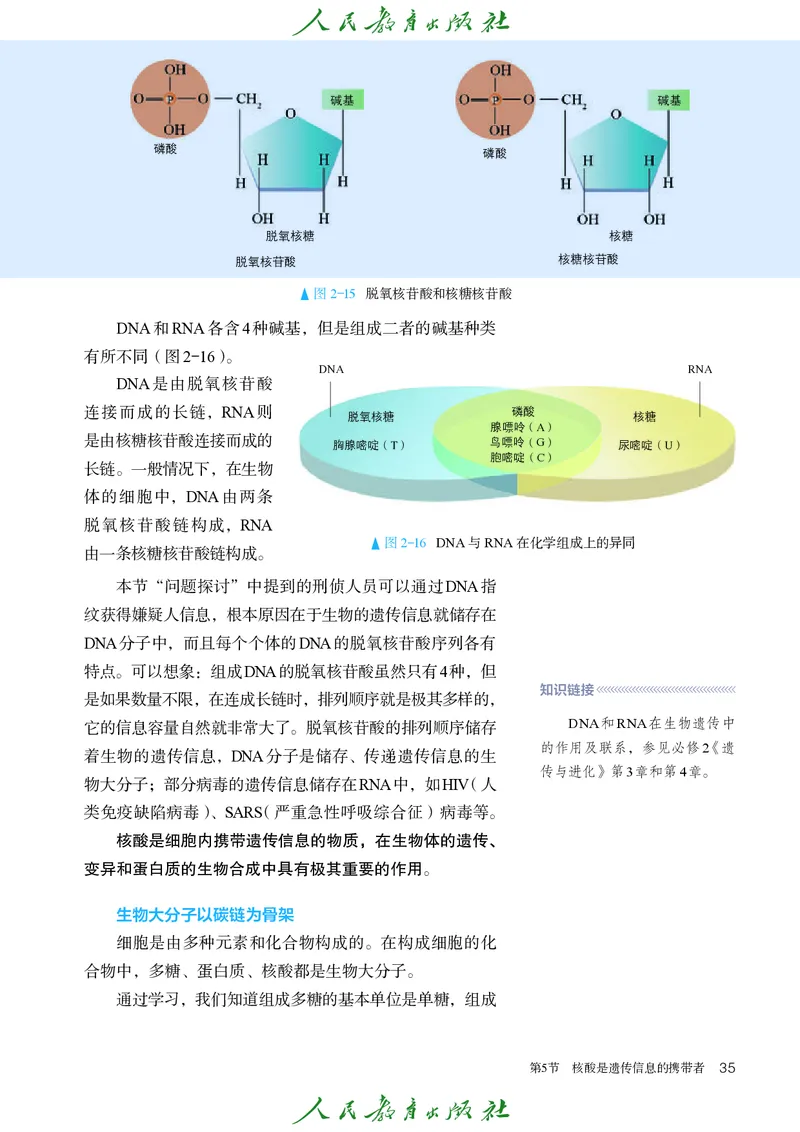 人教版高中必修1分子与细胞生物电子课本_高中三年全科资料_高中_高中电子教材_高中生物学_人教版