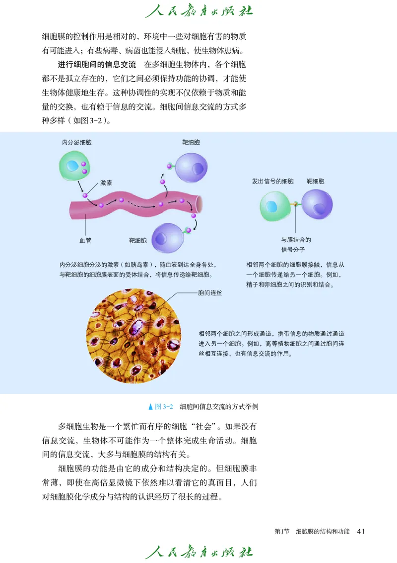 人教版高中必修1分子与细胞生物电子课本_高中三年全科资料_高中_高中电子教材_高中生物学_人教版