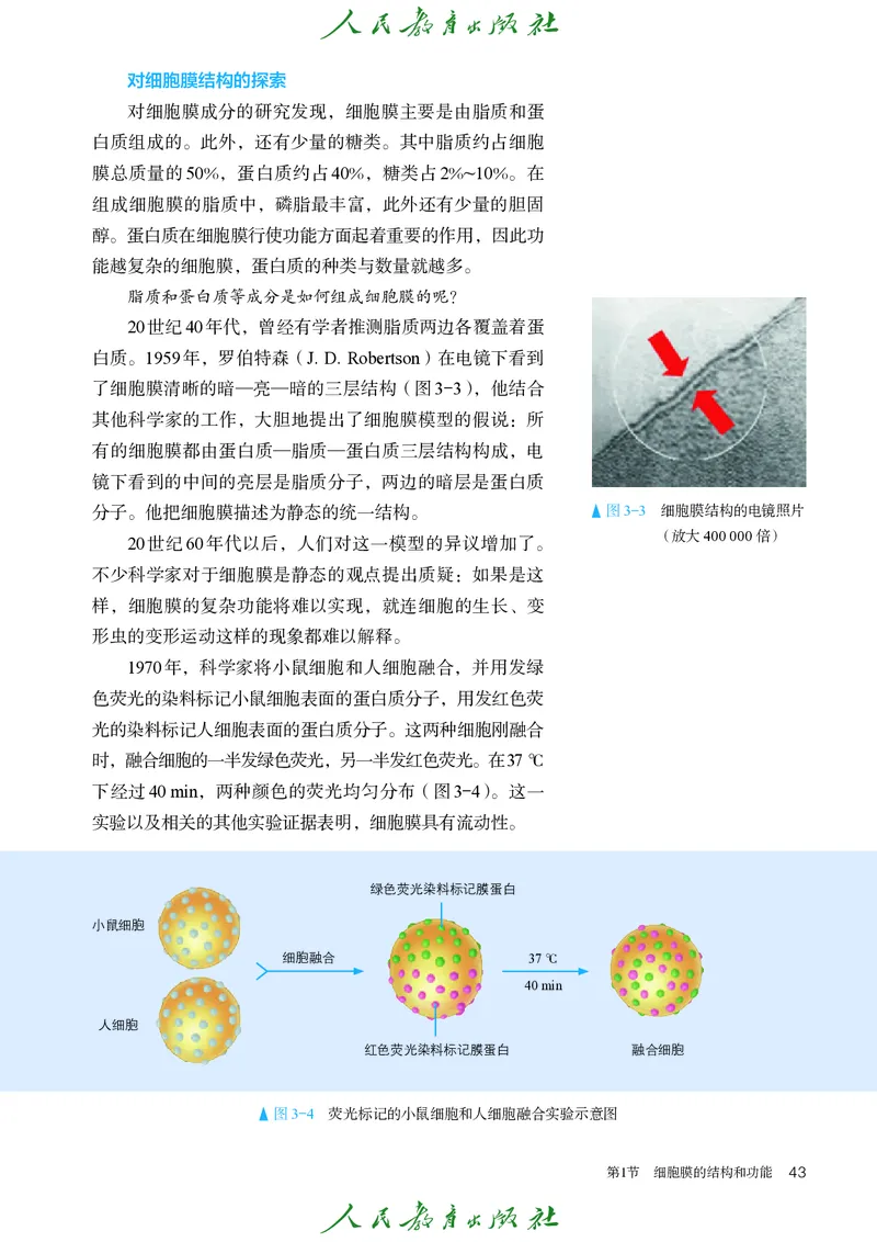 人教版高中必修1分子与细胞生物电子课本_高中三年全科资料_高中_高中电子教材_高中生物学_人教版