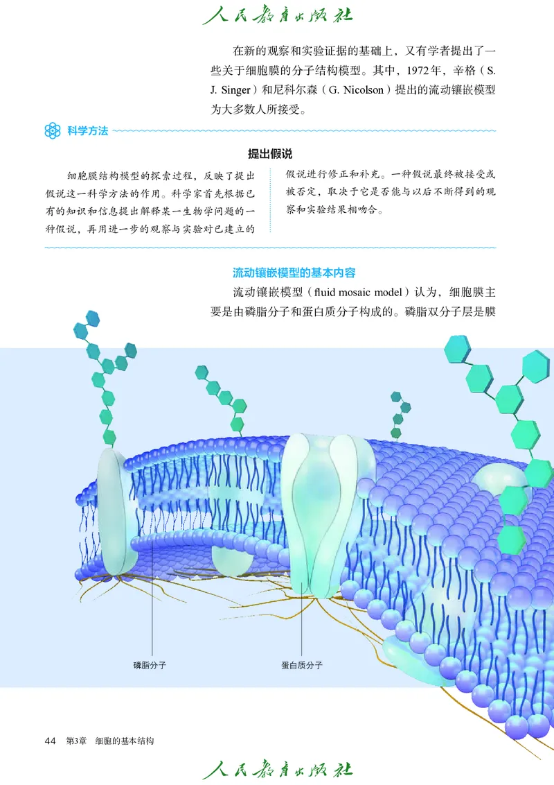 人教版高中必修1分子与细胞生物电子课本_高中三年全科资料_高中_高中电子教材_高中生物学_人教版