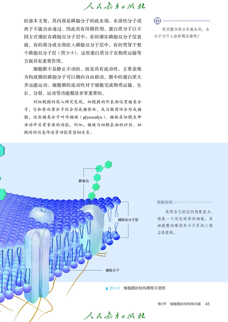 人教版高中必修1分子与细胞生物电子课本_高中三年全科资料_高中_高中电子教材_高中生物学_人教版