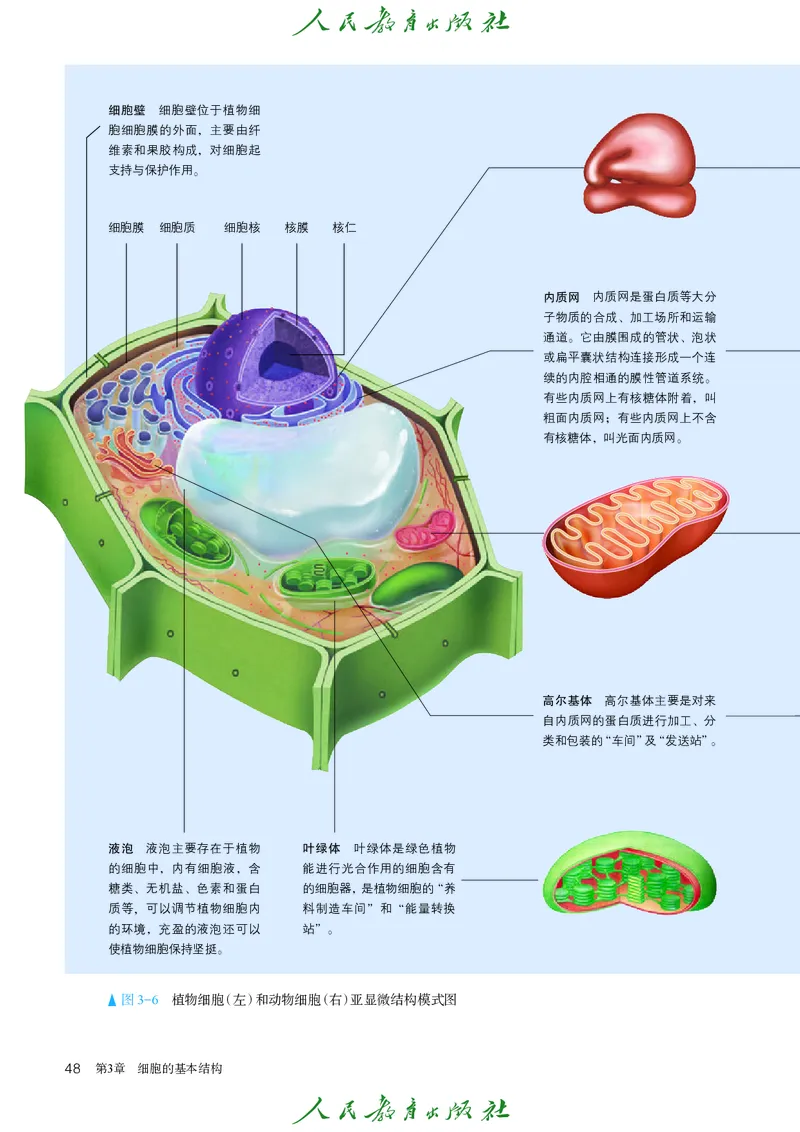 人教版高中必修1分子与细胞生物电子课本_高中三年全科资料_高中_高中电子教材_高中生物学_人教版