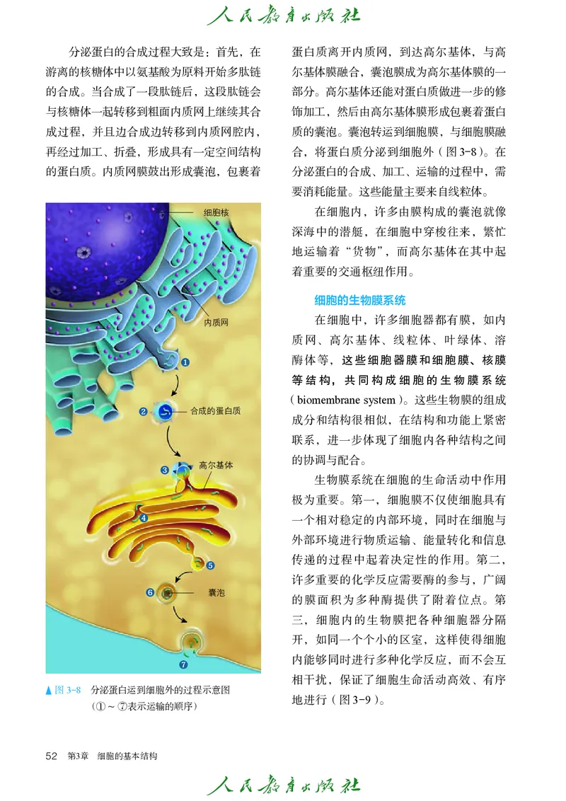 人教版高中必修1分子与细胞生物电子课本_高中三年全科资料_高中_高中电子教材_高中生物学_人教版