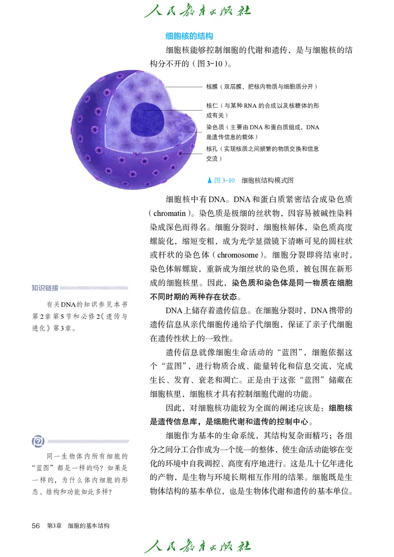 人教版高中必修1分子与细胞生物电子课本_高中三年全科资料_高中_高中电子教材_高中生物学_人教版