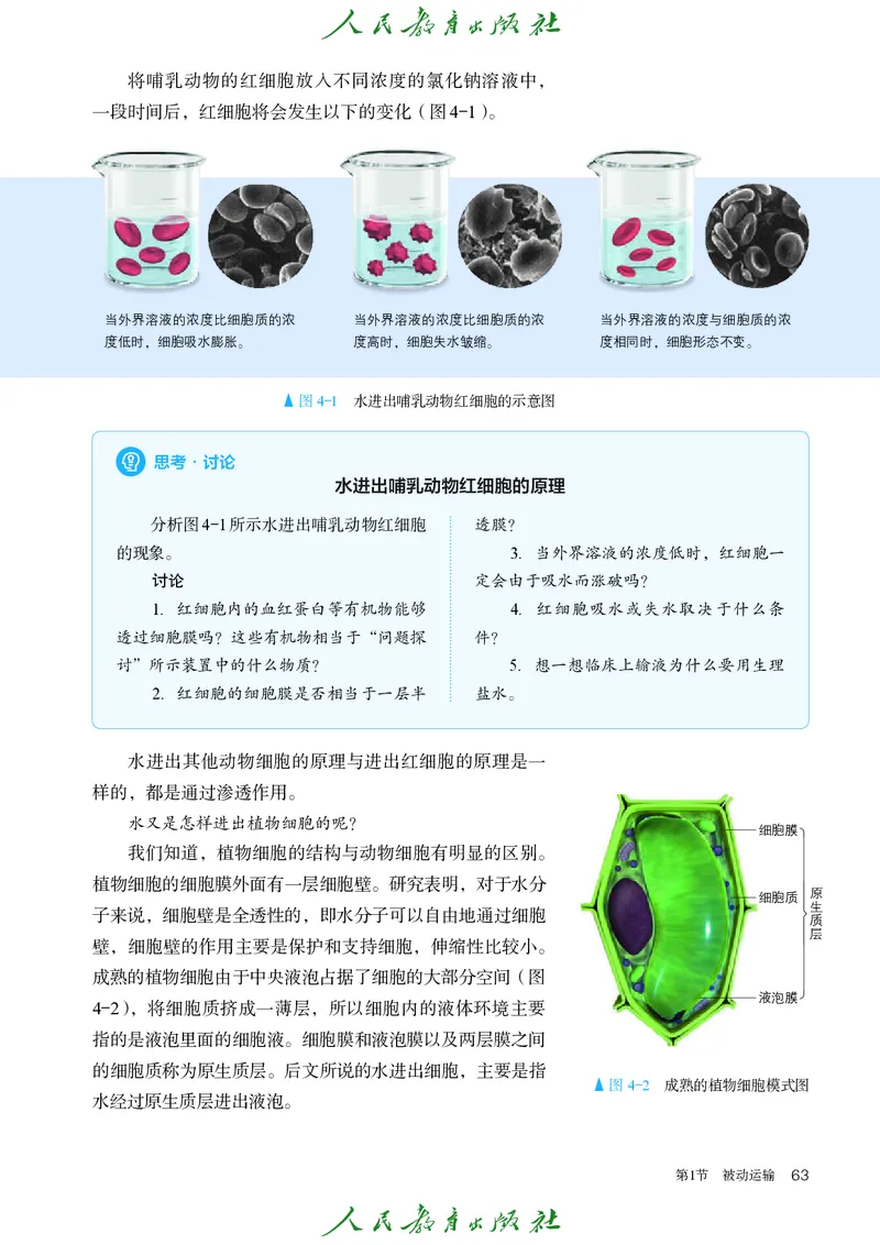 人教版高中必修1分子与细胞生物电子课本_高中三年全科资料_高中_高中电子教材_高中生物学_人教版