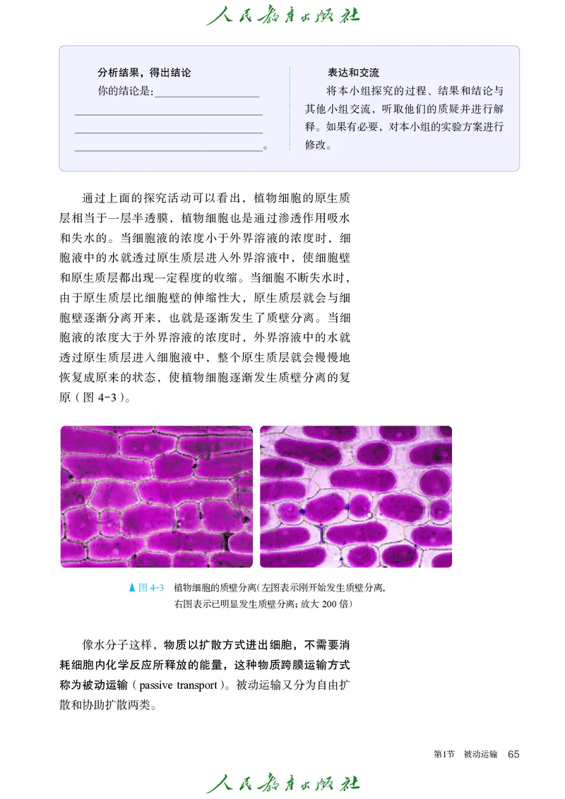 人教版高中必修1分子与细胞生物电子课本_高中三年全科资料_高中_高中电子教材_高中生物学_人教版
