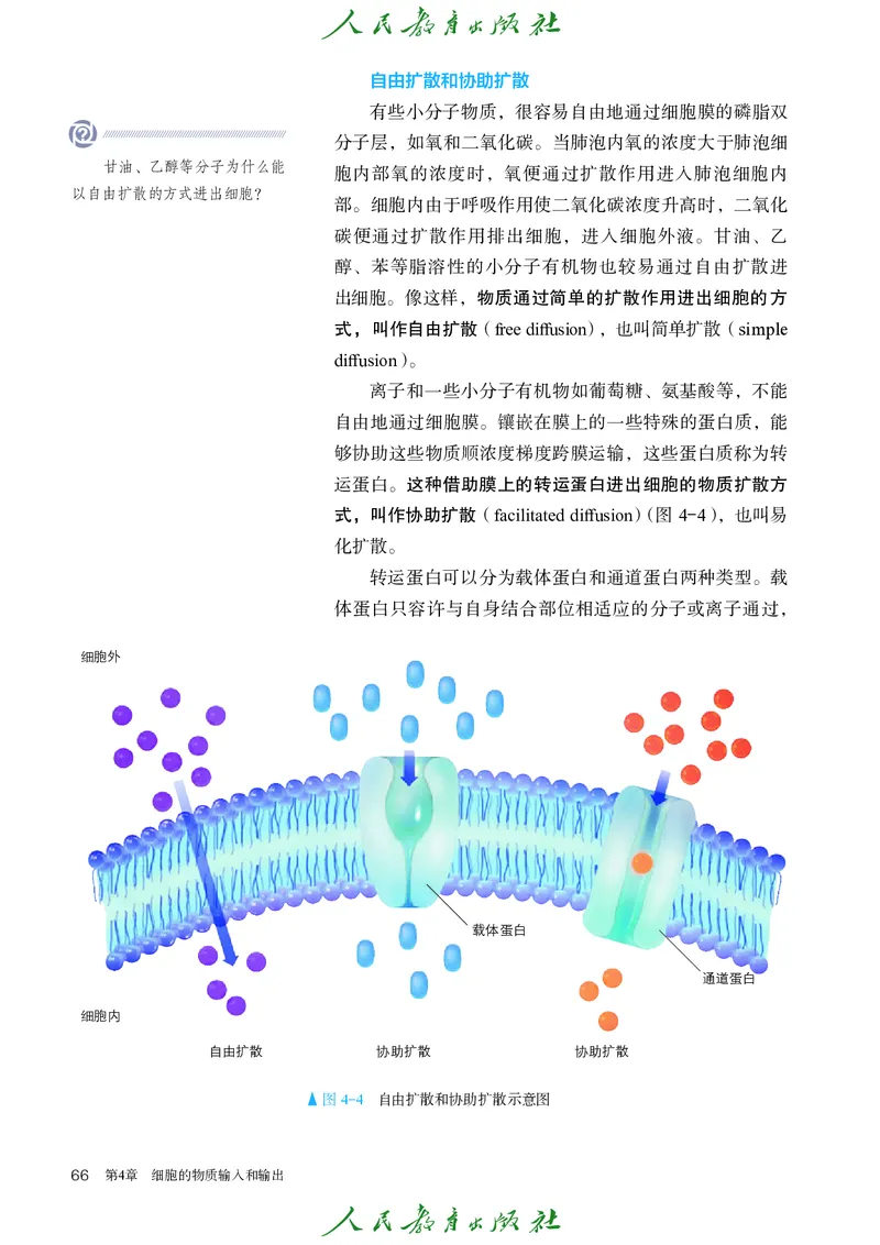 人教版高中必修1分子与细胞生物电子课本_高中三年全科资料_高中_高中电子教材_高中生物学_人教版