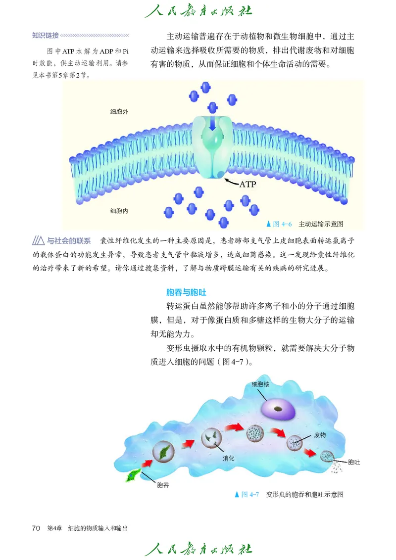 人教版高中必修1分子与细胞生物电子课本_高中三年全科资料_高中_高中电子教材_高中生物学_人教版