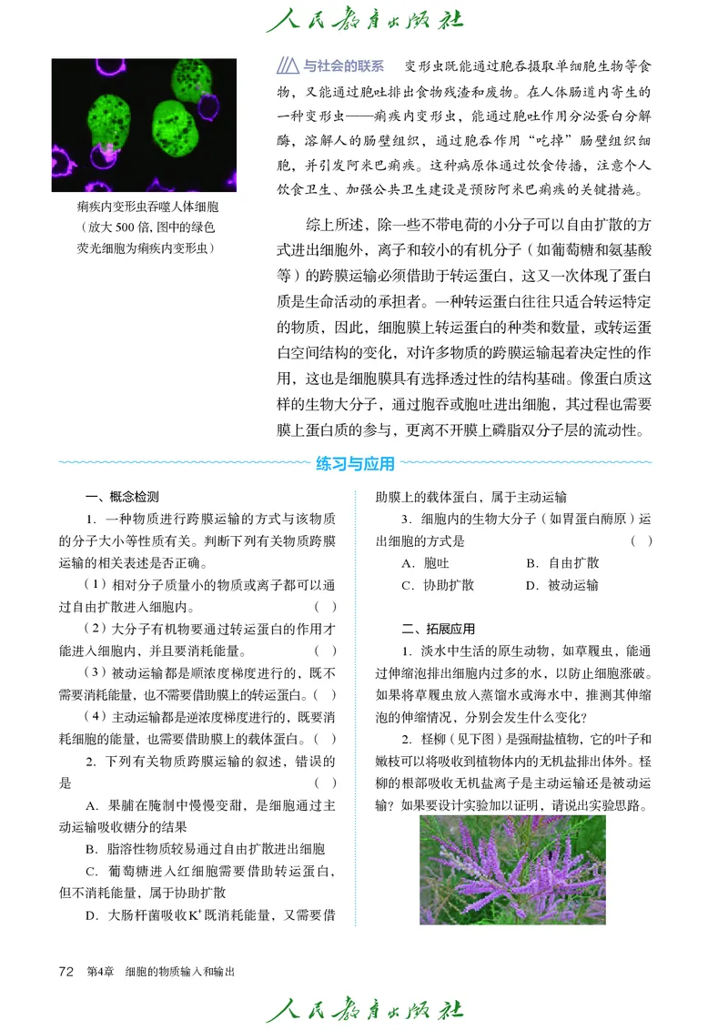 人教版高中必修1分子与细胞生物电子课本_高中三年全科资料_高中_高中电子教材_高中生物学_人教版