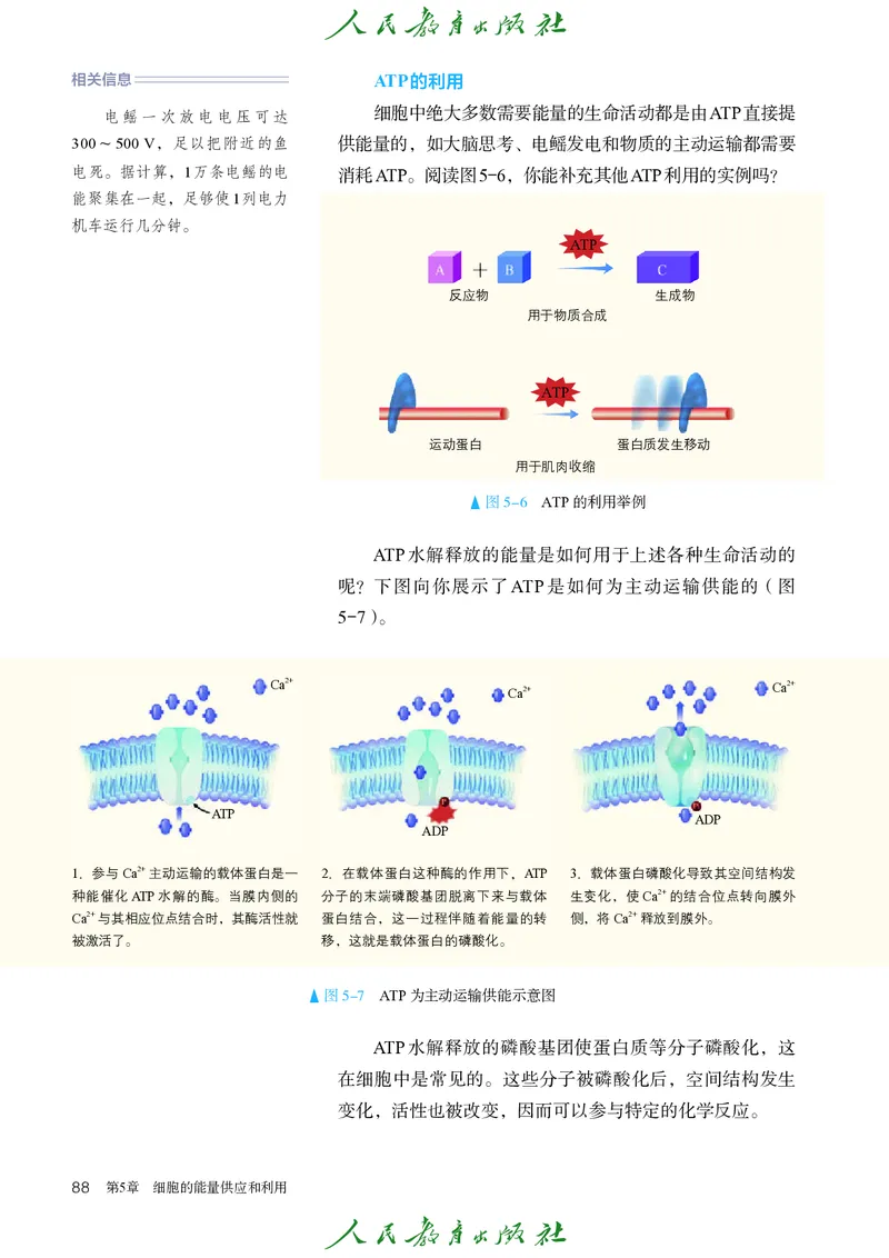 人教版高中必修1分子与细胞生物电子课本_高中三年全科资料_高中_高中电子教材_高中生物学_人教版