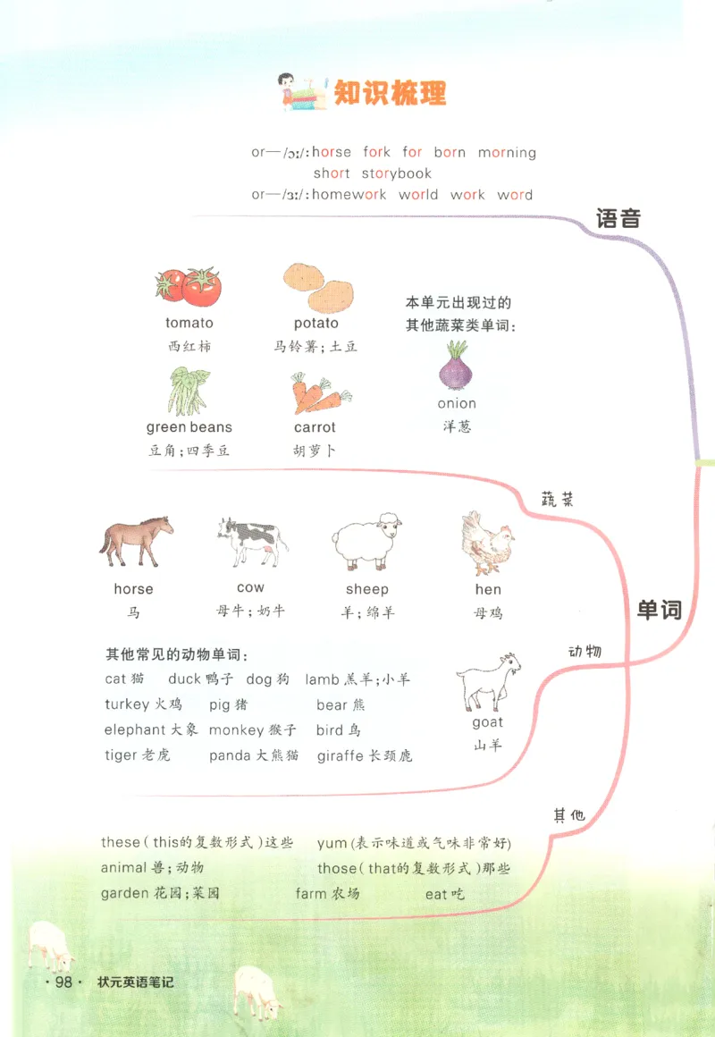 25春《状元英语笔记》人教英语PEP4下（含晨读晚默）_小学《课堂笔记》数学语文英语1-6年级下册_小学英语《课堂笔记》1-6年级下册（26春）_小学英语《课堂笔记》3-6年级下册（26春）