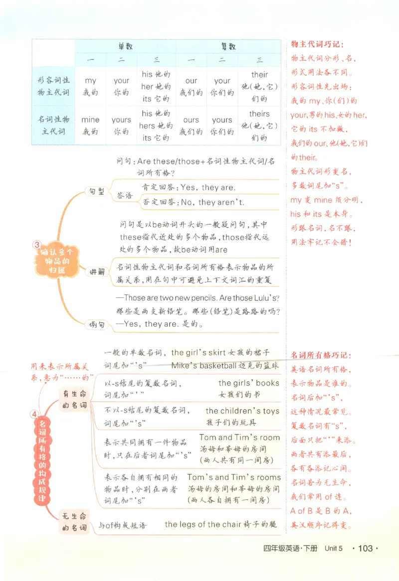 25春《状元英语笔记》人教英语PEP4下（含晨读晚默）_小学《课堂笔记》数学语文英语1-6年级下册_小学英语《课堂笔记》1-6年级下册（26春）_小学英语《课堂笔记》3-6年级下册（26春）