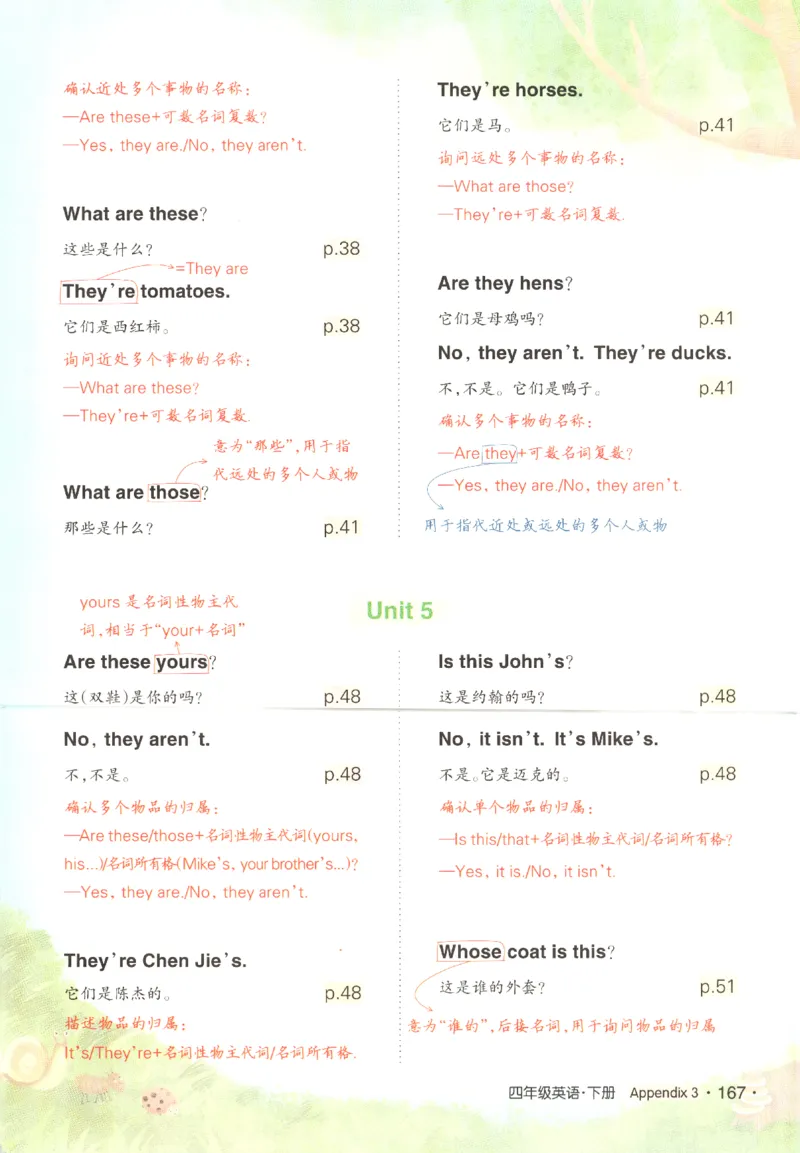 25春《状元英语笔记》人教英语PEP4下（含晨读晚默）_小学《课堂笔记》数学语文英语1-6年级下册_小学英语《课堂笔记》1-6年级下册（26春）_小学英语《课堂笔记》3-6年级下册（26春）