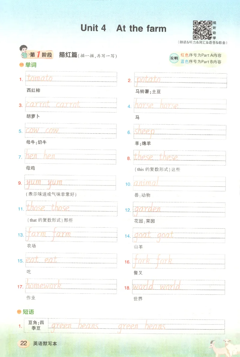 25春《状元英语笔记》人教英语PEP4下（含晨读晚默）_小学《课堂笔记》数学语文英语1-6年级下册_小学英语《课堂笔记》1-6年级下册（26春）_小学英语《课堂笔记》3-6年级下册（26春）