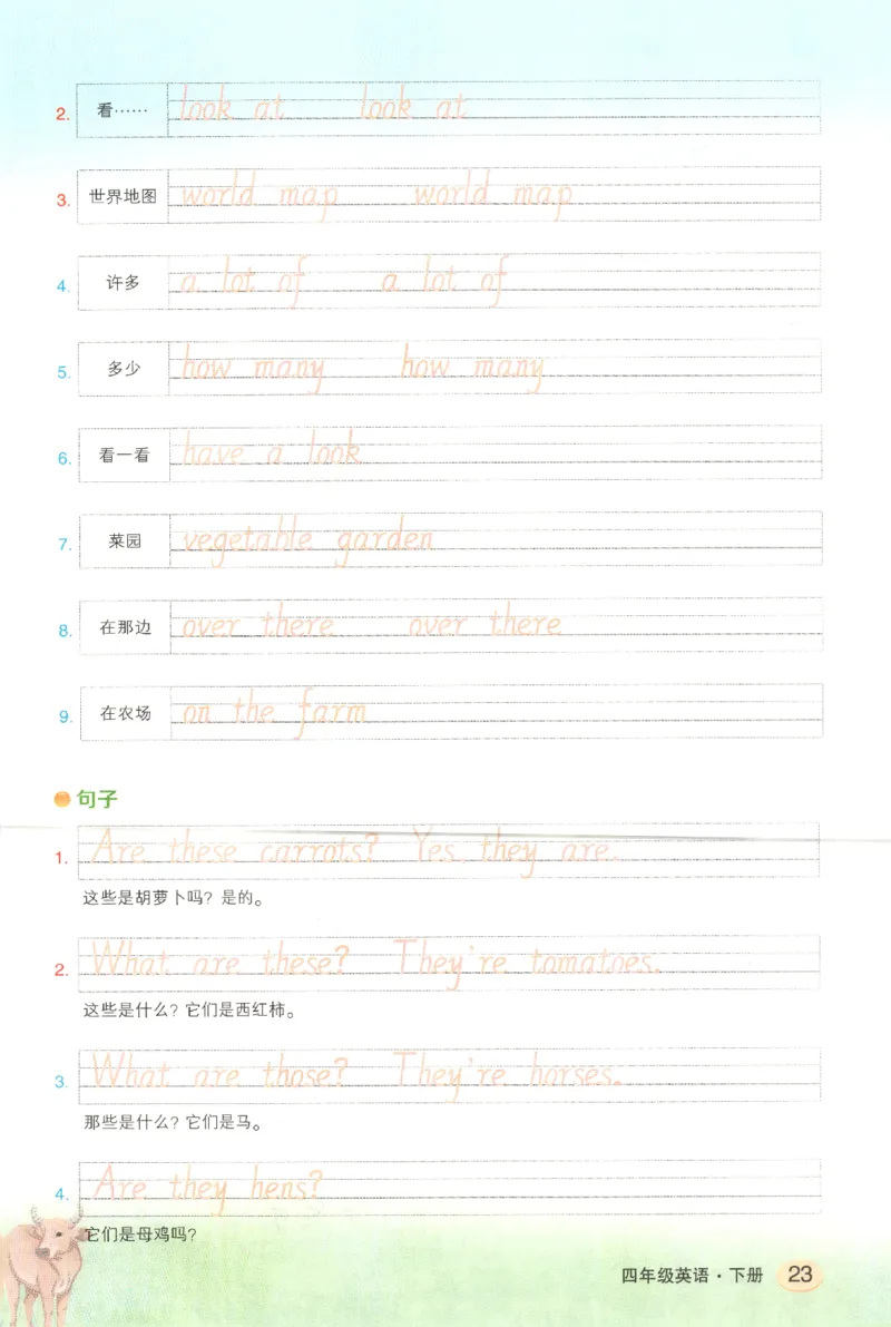 25春《状元英语笔记》人教英语PEP4下（含晨读晚默）_小学《课堂笔记》数学语文英语1-6年级下册_小学英语《课堂笔记》1-6年级下册（26春）_小学英语《课堂笔记》3-6年级下册（26春）