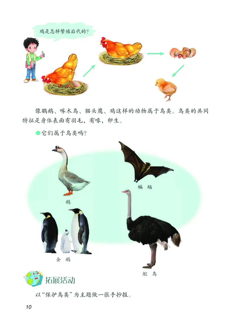 04六制四上科学_电子课本_小学电子课本_05科学_青岛版（63、54版）_小学科学青岛六三制1-6上册