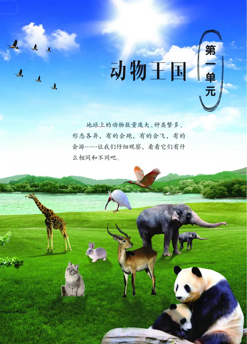 04六制四上科学_电子课本_小学电子课本_05科学_青岛版（63、54版）_小学科学青岛六三制1-6上册