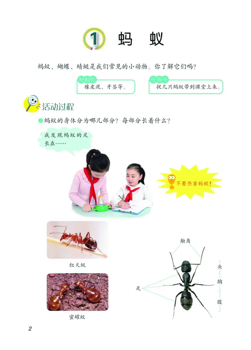 04六制四上科学_电子课本_小学电子课本_05科学_青岛版（63、54版）_小学科学青岛六三制1-6上册