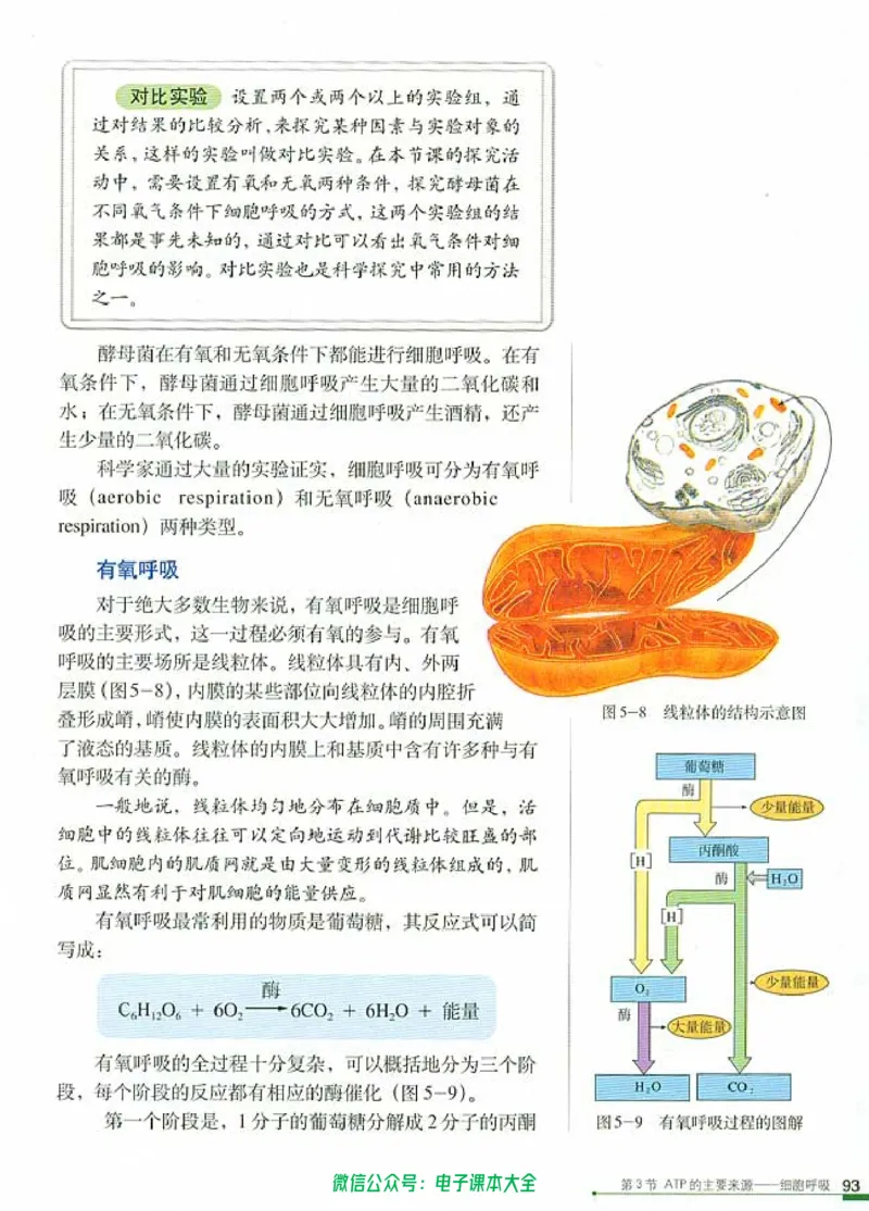 必修1《分子与细胞》_高中三年全科资料_高中_高中电子教材_旧教材_高中生物（人教旧版）_高中生物必修1-3（3本）