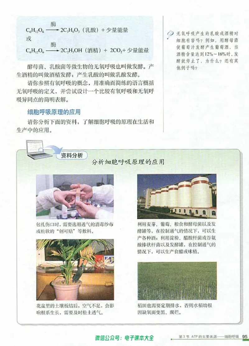必修1《分子与细胞》_高中三年全科资料_高中_高中电子教材_旧教材_高中生物（人教旧版）_高中生物必修1-3（3本）