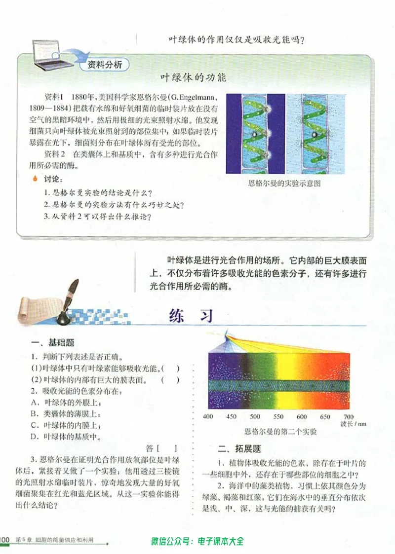 必修1《分子与细胞》_高中三年全科资料_高中_高中电子教材_旧教材_高中生物（人教旧版）_高中生物必修1-3（3本）