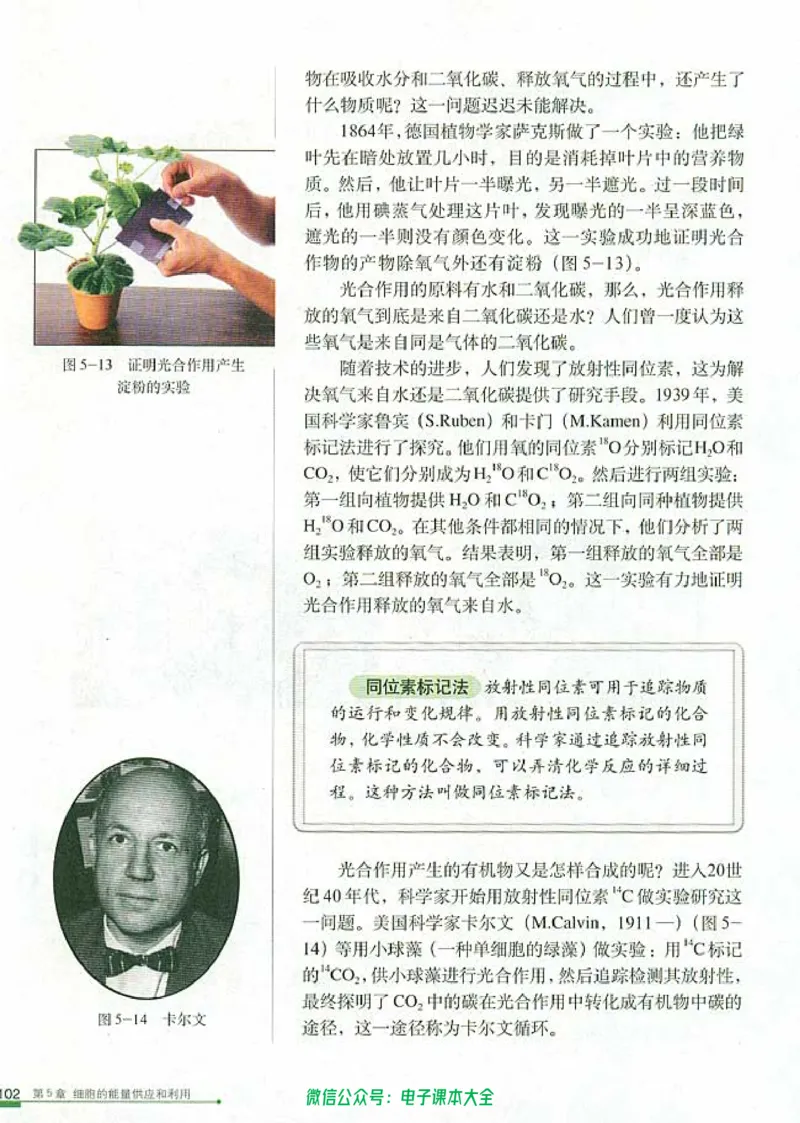 必修1《分子与细胞》_高中三年全科资料_高中_高中电子教材_旧教材_高中生物（人教旧版）_高中生物必修1-3（3本）