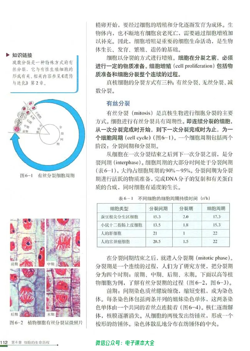 必修1《分子与细胞》_高中三年全科资料_高中_高中电子教材_旧教材_高中生物（人教旧版）_高中生物必修1-3（3本）